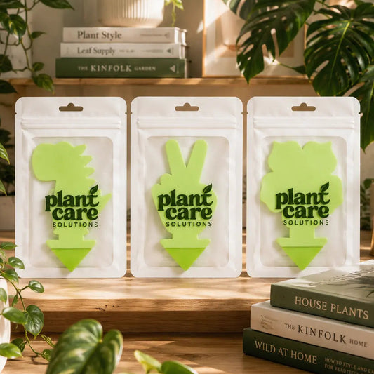 Green Gnat Traps Bundle