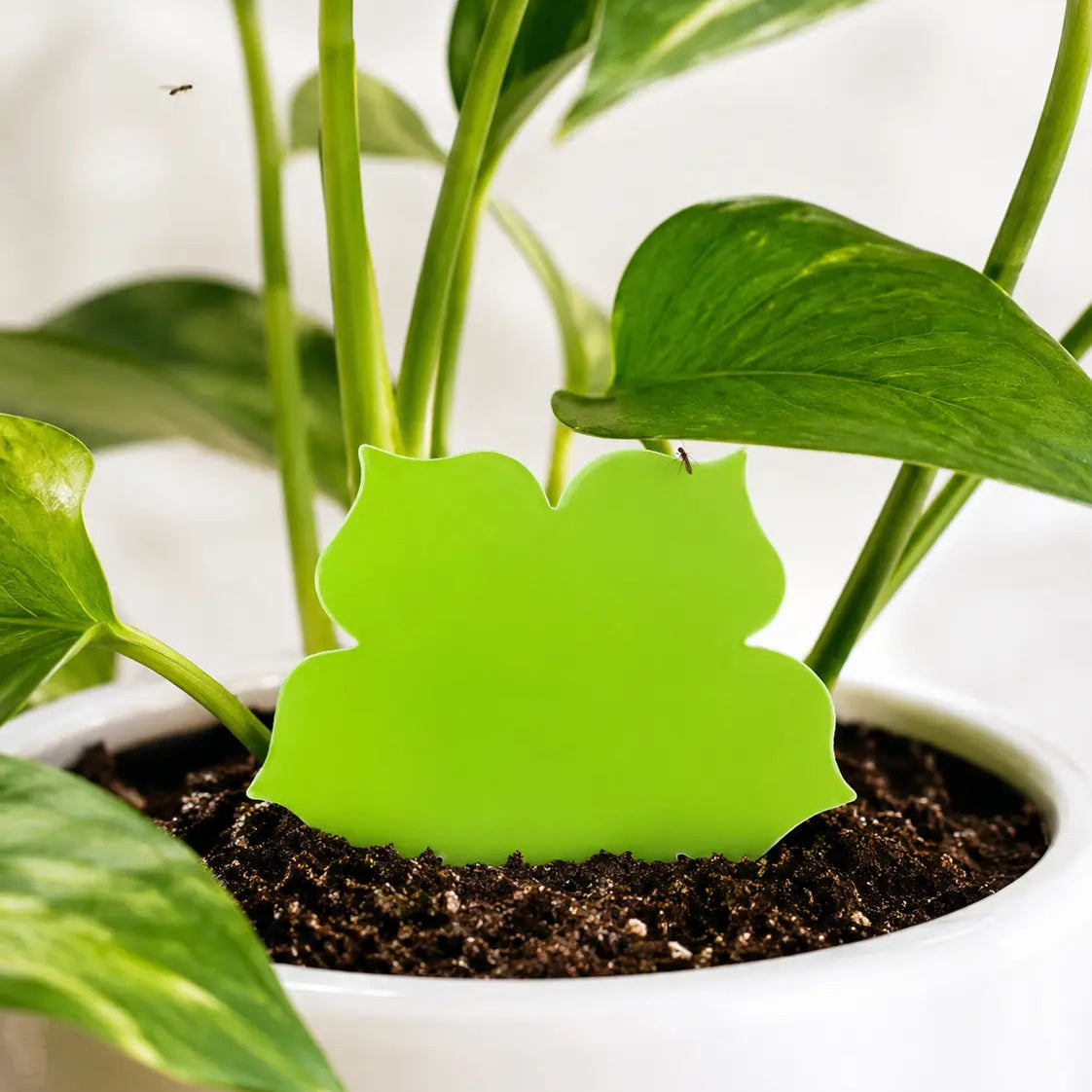 Green leaf-shaped plant label in a pot with a plant