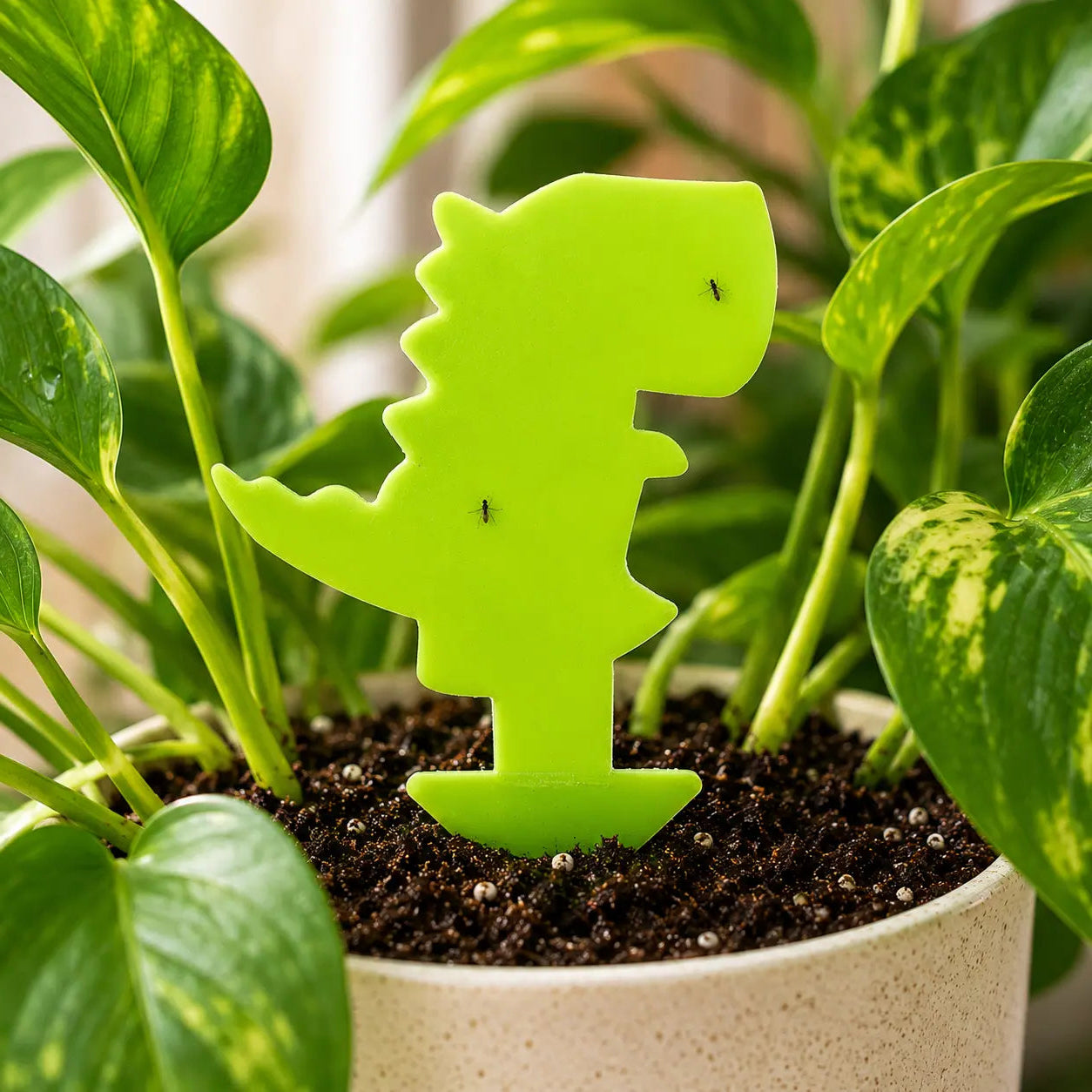 Green dinosaur-shaped plant marker in a pot with plants