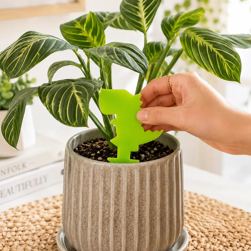 Person placing a green plant label on a potted plant indoors