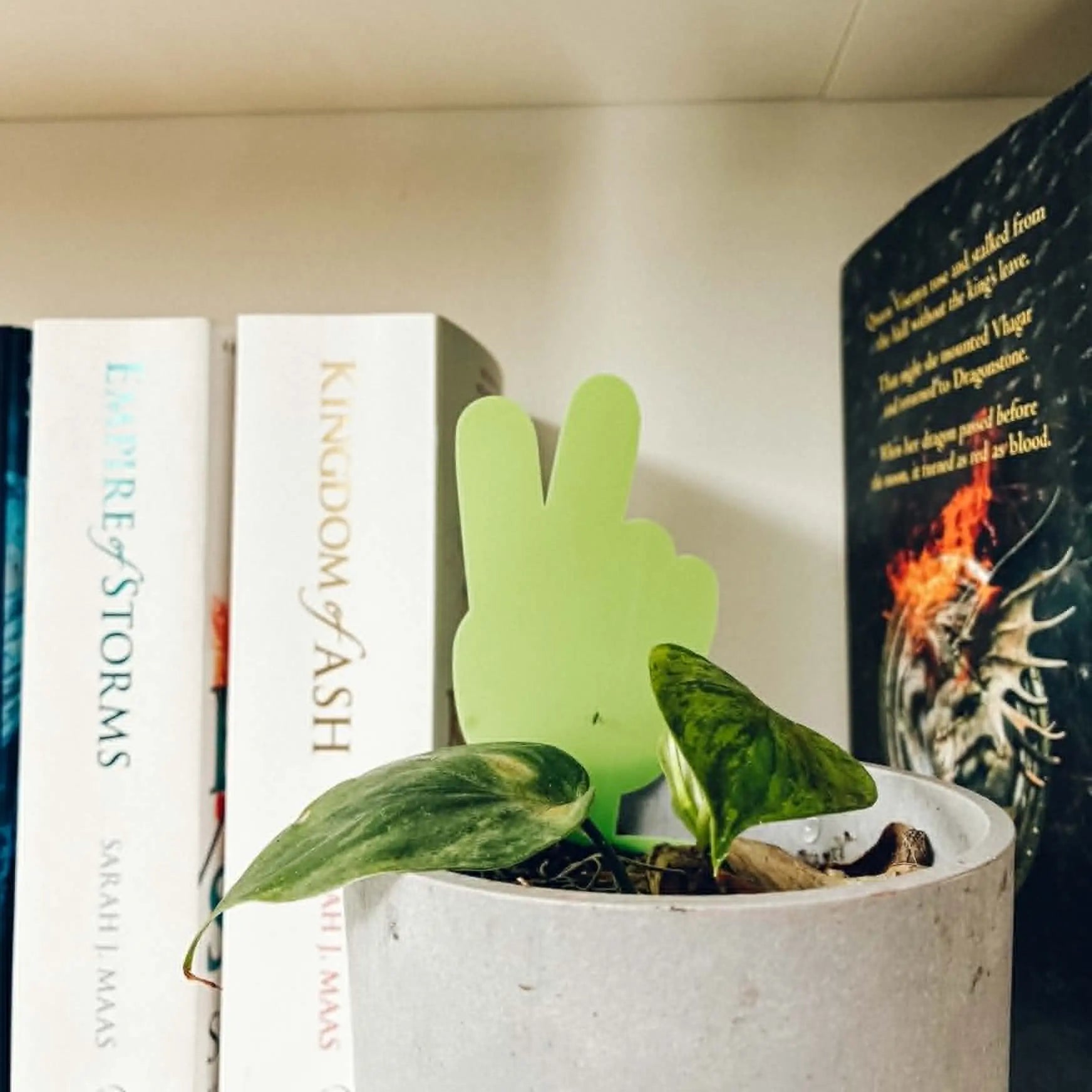 Potted plant with a peace sign decoration among books on a shelf