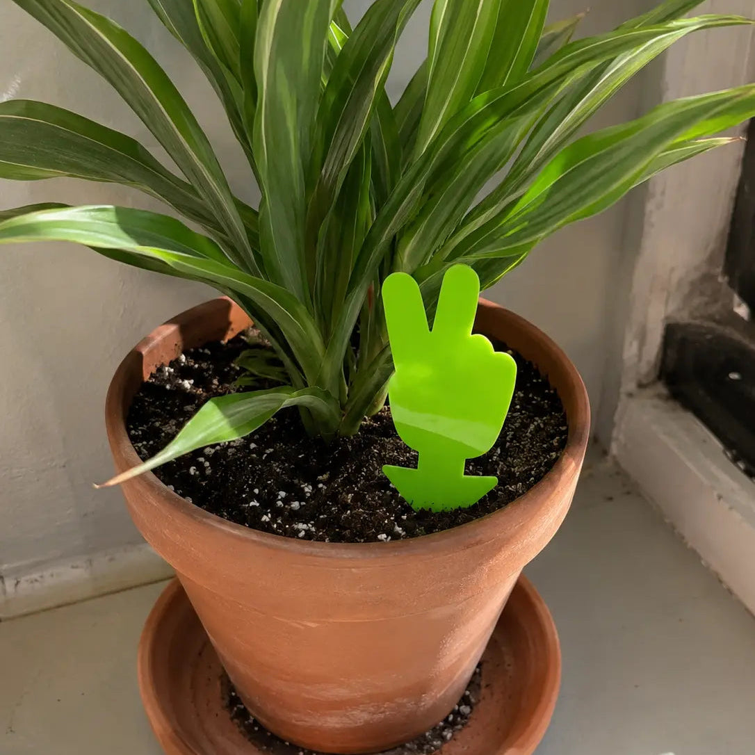 Potted plant with a green peace sign decoration on a neutral background