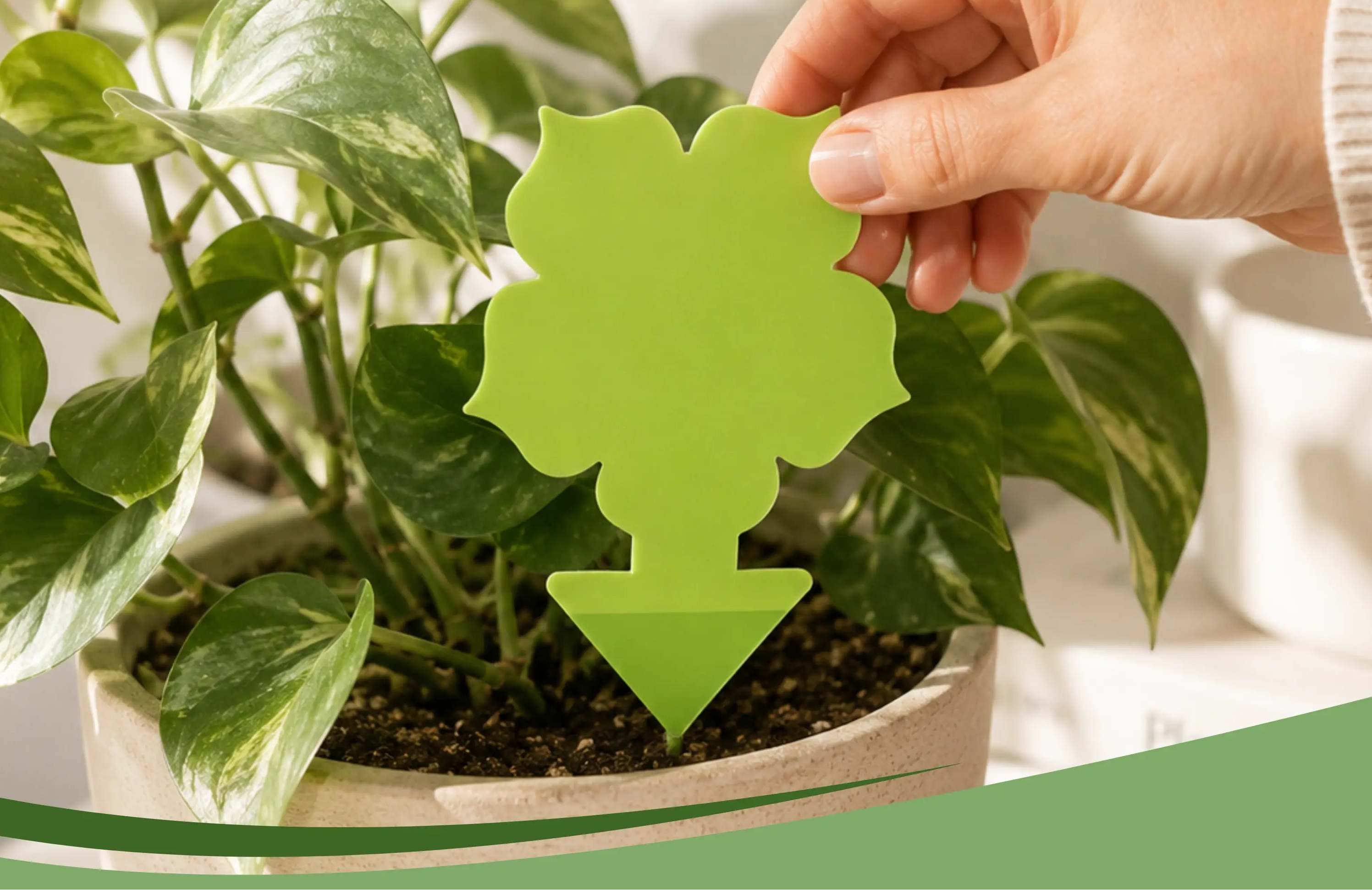Hand holding a green heart-shaped plant label next to a potted plant